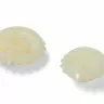 Комплект шестеренок для кухонного комбайна (2 шт) KENWOOD 